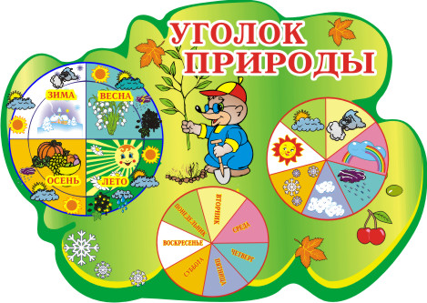 Картинки стенд уголок природы детсад Картинки стенд уголок природы детсад