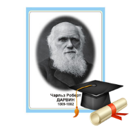 Портреты известных личностей