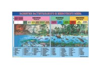 Плакаты для кабинета биологии