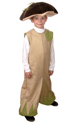 Костюм Гриба для Мальчика