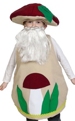 Костюм Детский Гриба Боровика