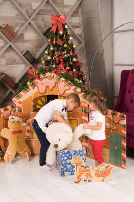 Композиция Рождество в кругу семьи 38596 галерея 3