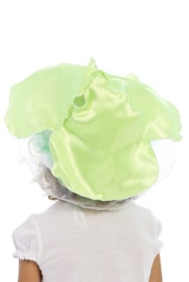 Капуста шапочка 106102104 галерея 1