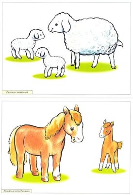 Пособия Рассказы по картинкам набор Познаю профессии и природу МС10717,24,31,33 галерея 2