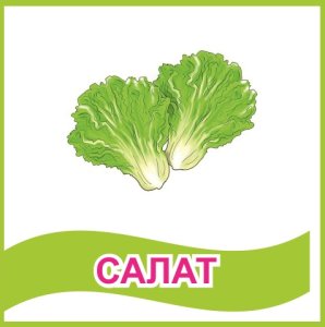 Табличка "Салат"