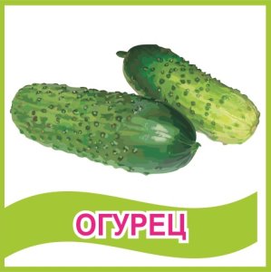 Табличка "Огурец"