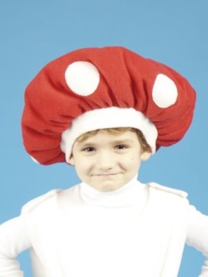Мухомор шапочка 106120104 галерея 1