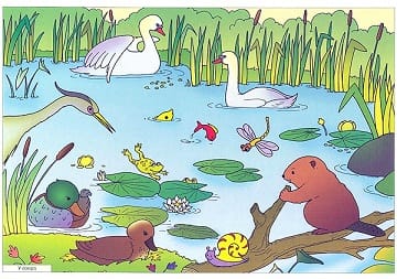 Пособия Рассказы по картинкам набор Познаю профессии и природу МС10717,24,31,33 галерея 10