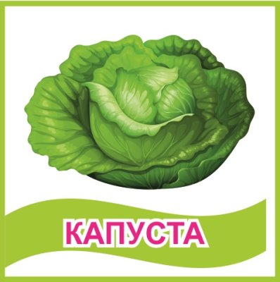 Табличка "Капуста"