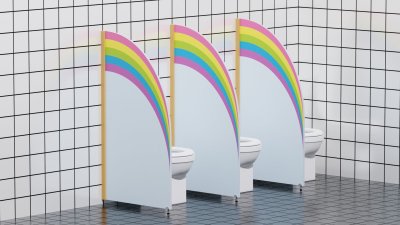 Перегородка "Радужная" 62х115 см 52363 галерея 1