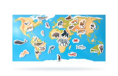 Фон для магнитного пособия "Карта животного мира" 40415е1 галерея 2