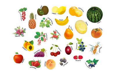 Набор магнитов "Фрукты/Ягоды" 11364 галерея 1