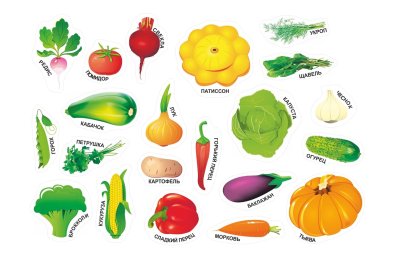 Набор магнитов "Овощи" 11384 галерея 1