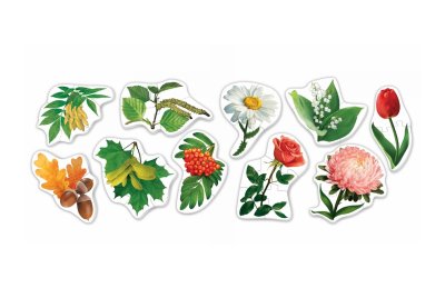 Пазлы Окружающий мир, Растения, Овощи, Фрукты / в системе хранения Игротека 7209рос галерея 1