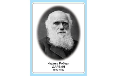 Стенд портрет Чарльз Роберт Дарвин