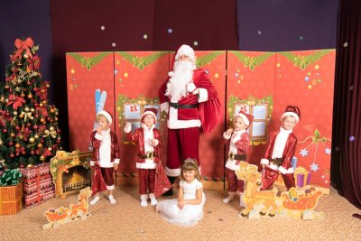 Рождественский олень 37282 галерея 7