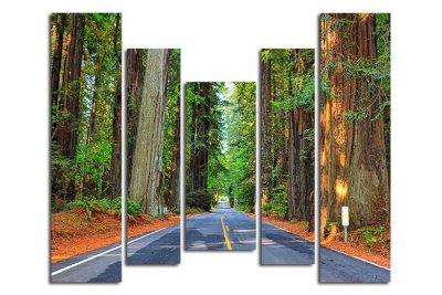 Модульная картина "Дорога сквозь лес" 17176 галерея 1