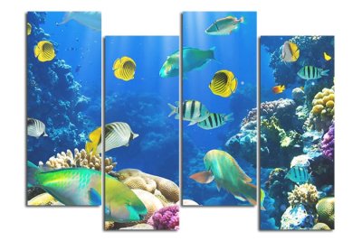 Модульная картина "Удивительный подводный мир" 17231 галерея 1