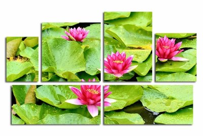 Модульная картина "Лотос на воде" 17425 галерея 1