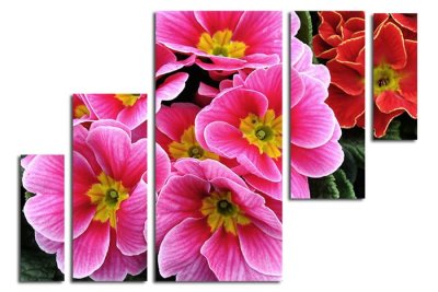 Модульная картина "Цветочки" 17469 галерея 1