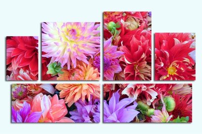 Модульная картина "Цветы разных оттенков" 17477 галерея 1