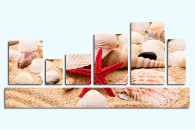 Модульная картина "Морские ракушки" 17479 галерея 1