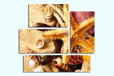 Модульная картина "Ракушки" 17480 галерея 1