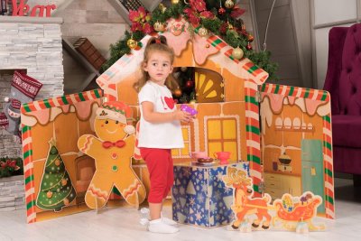 Домик пряничного человечка 37611 галерея 4