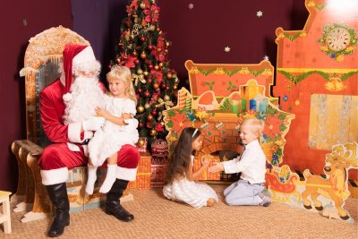 Рождественский олень 37282 галерея 8