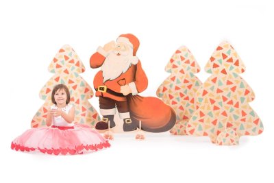 Санта-Клаус (обратная сторона - лесной эльф) 37515 галерея 2