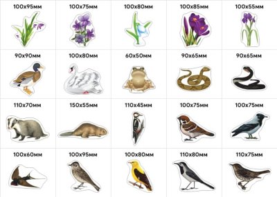 Большой комплект деревянных магнитов "Природа" 36896е2 галерея 2