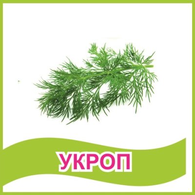 Табличка "Укроп"
