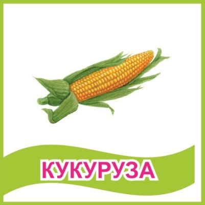 Табличка "Кукуруза"