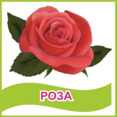 Табличка "Роза"