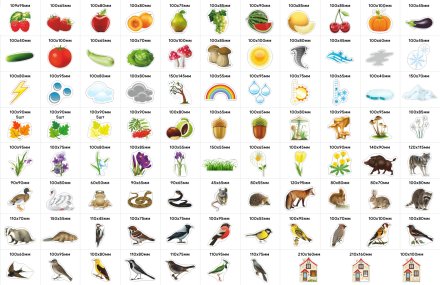 Большой комплект деревянных магнитов "Природа"