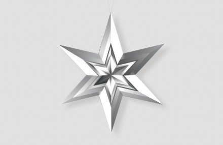 Звезда-в-звезде-серебро