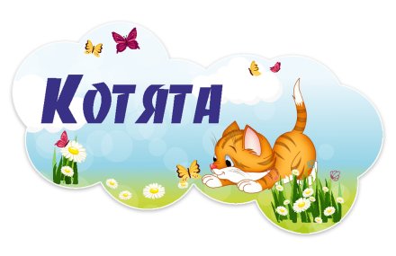 Табличка группы из набора "Котята"