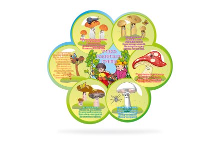 Стенд "Учись различать грибы"
