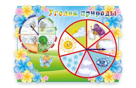 Стенд "Уголок природы"