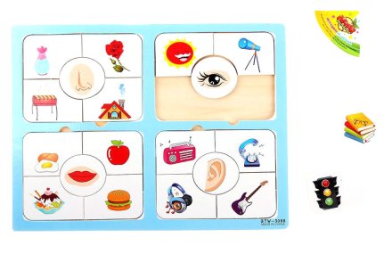 Рамка вкладыш "Органы чувств"