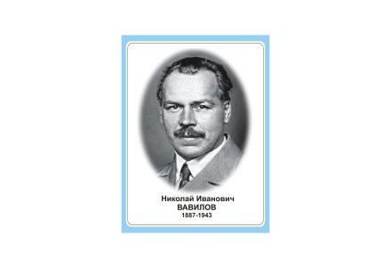Стенд портрет Николай Иванович Вавилов