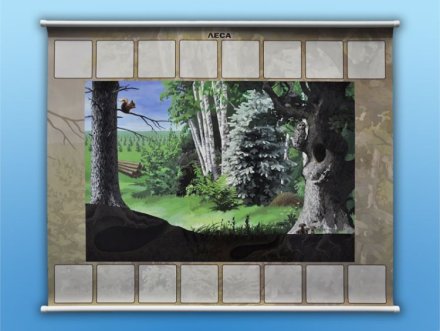 Магнитно-маркерный плакат "Леса" с комплектом магнитных карточек