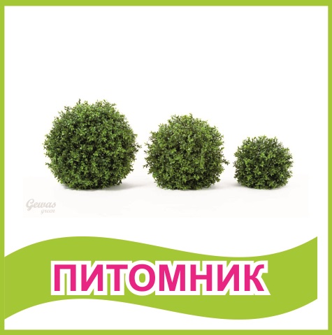 Табличка "Питомник" 39465N