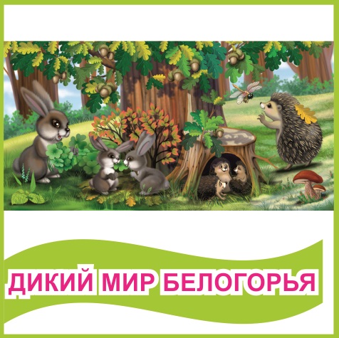 Табличка "Дикий мир Белогорья" 39449N