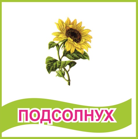 Табличка "Подсолнух" 39467N