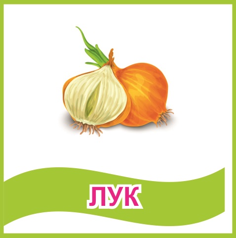 Табличка "Лук" 39459N