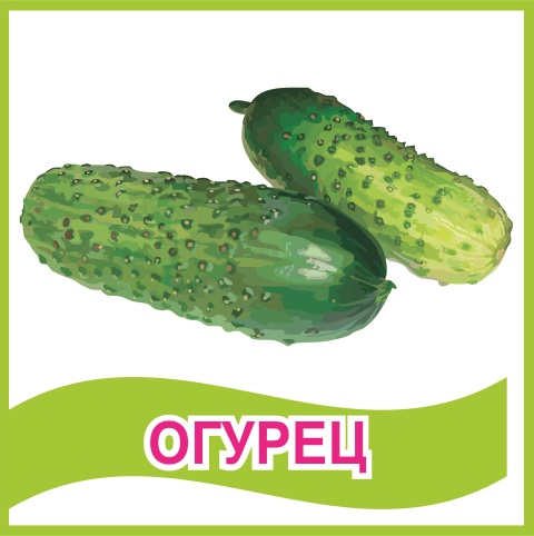 Табличка "Огурец" 39462N