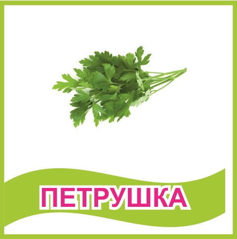 Табличка "Петрушка" 39464N