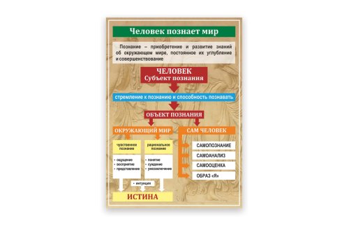 Стенд "Человек познает мир" 39084