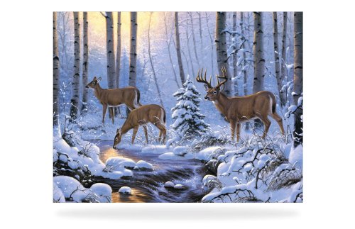 Баннер "Зима" 1700*1300мм 47158